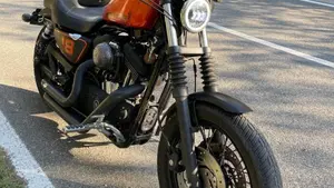 Harley-Davidson 1200 Roadster (2006 - 08) - XL 1200R  (5)