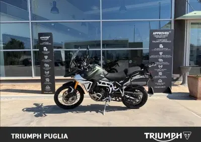 Triumph Tiger 900 Rally Pro (2024 - 26) - Annuncio 10111249