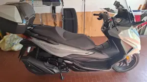 Honda Forza 350 Deluxe (2022 - 24)  (2)