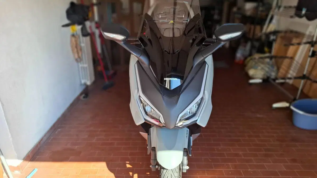 Honda Forza 350 Deluxe (2022 - 24)  (3)