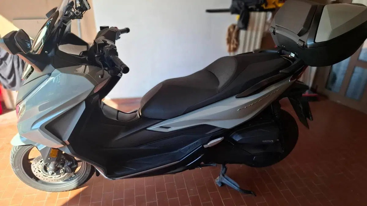 Honda Forza 350 Deluxe (2022 - 24)  (4)