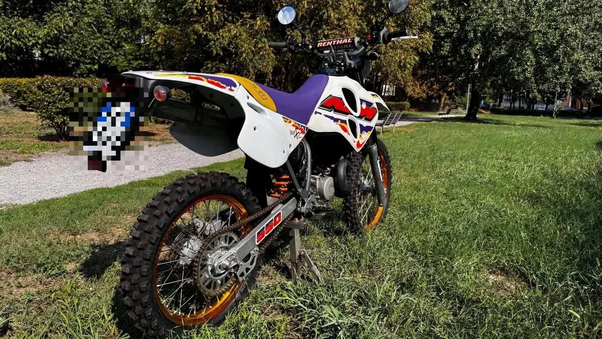 KTM   (19)