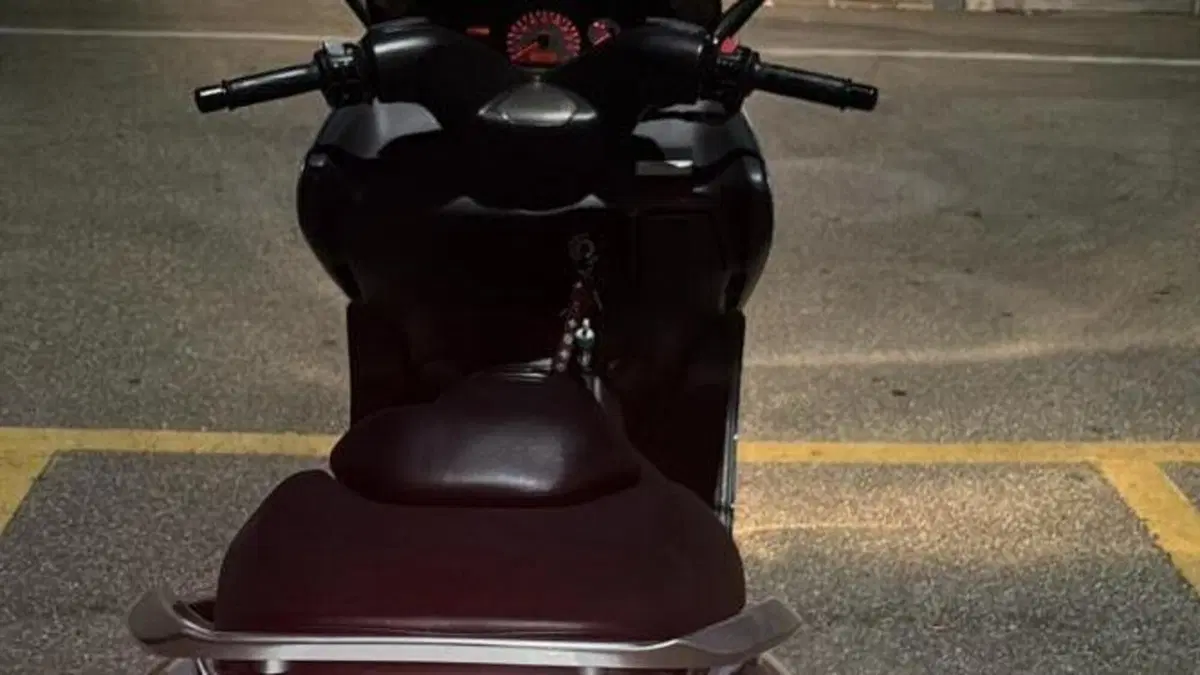Yamaha   (6)