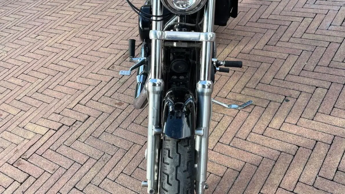 Harley-Davidson 1200 Roadster (2006 - 08) - XL 1200R  (3)