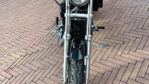 Harley-Davidson 1200 Roadster (2006 - 08) - XL 1200R  (3)