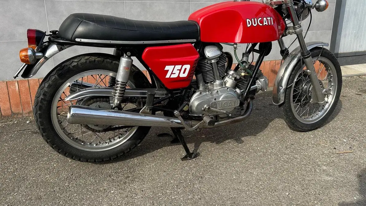 Ducati   (5)