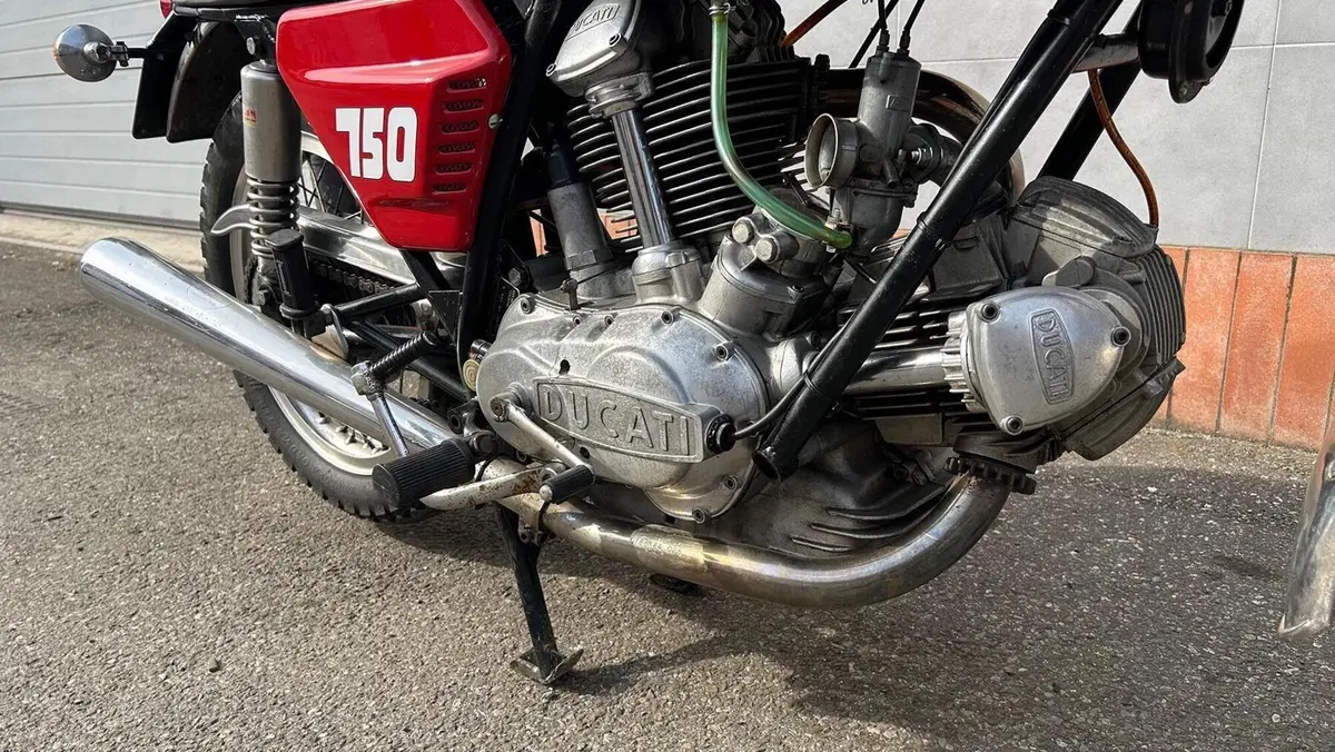 Ducati   (7)