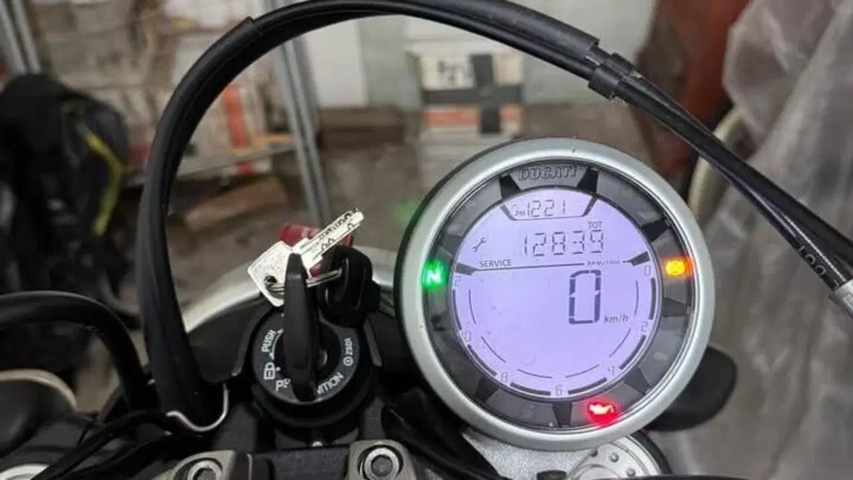 Ducati Scrambler 800 Icon (2017 - 20)  (4)