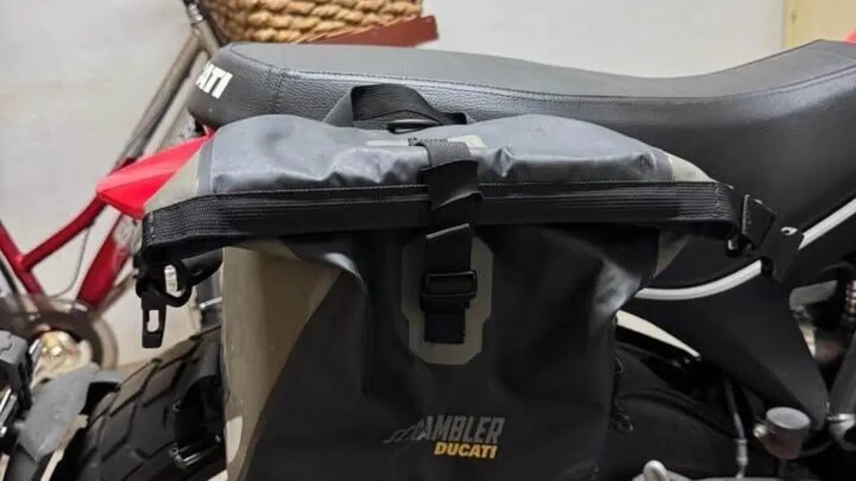 Ducati Scrambler 800 Icon (2017 - 20)  (5)