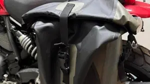 Ducati Scrambler 800 Icon (2017 - 20)  (6)