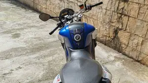 Bmw F 800 R (2015 - 16)  (4)