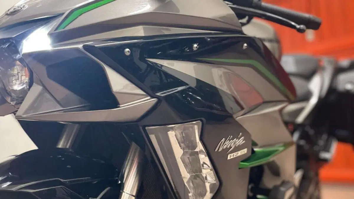 Kawasaki Ninja H2 SX SE+ (2019 - 20)  (4)
