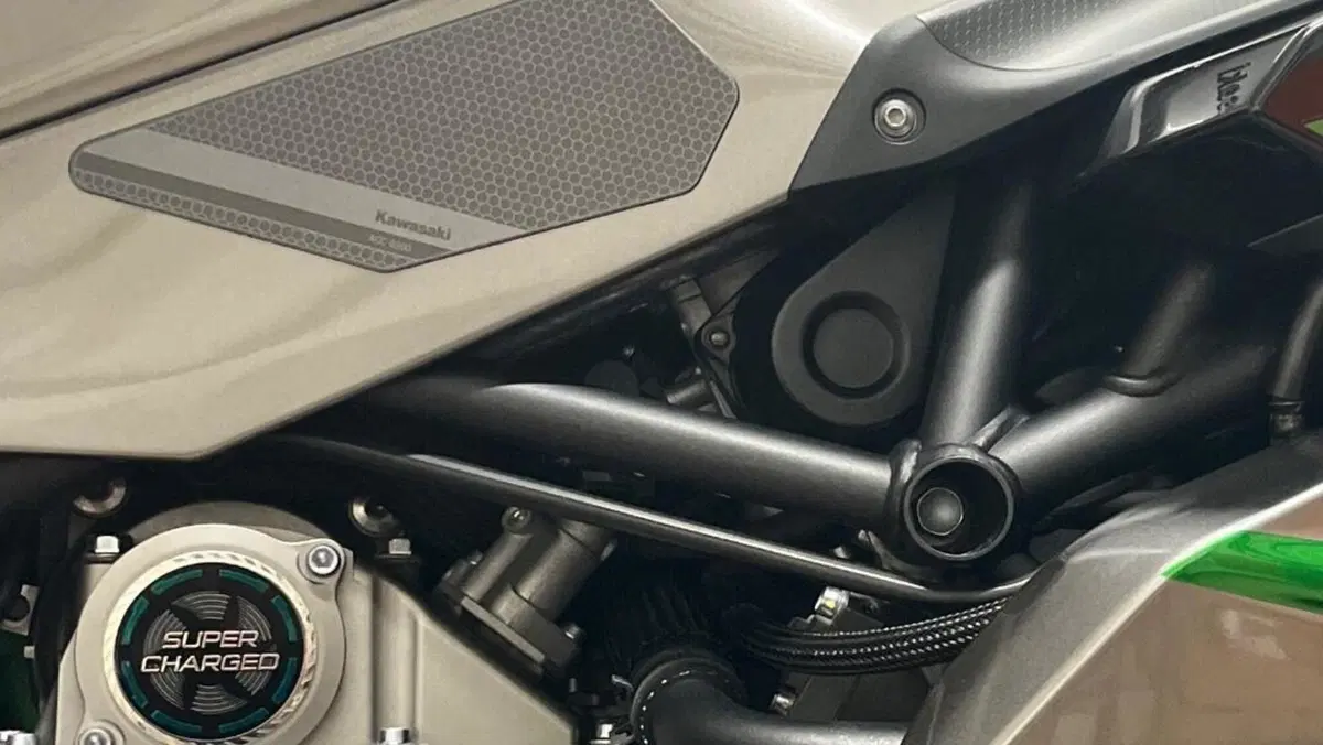 Kawasaki Ninja H2 SX SE+ (2019 - 20)  (9)
