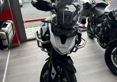 Triumph Tiger 900 GT Pro (2024 - 26) - Annuncio 10111398