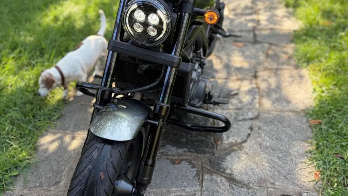 Honda CMX 1100 Rebel DCT (2021 - 24)  (3)