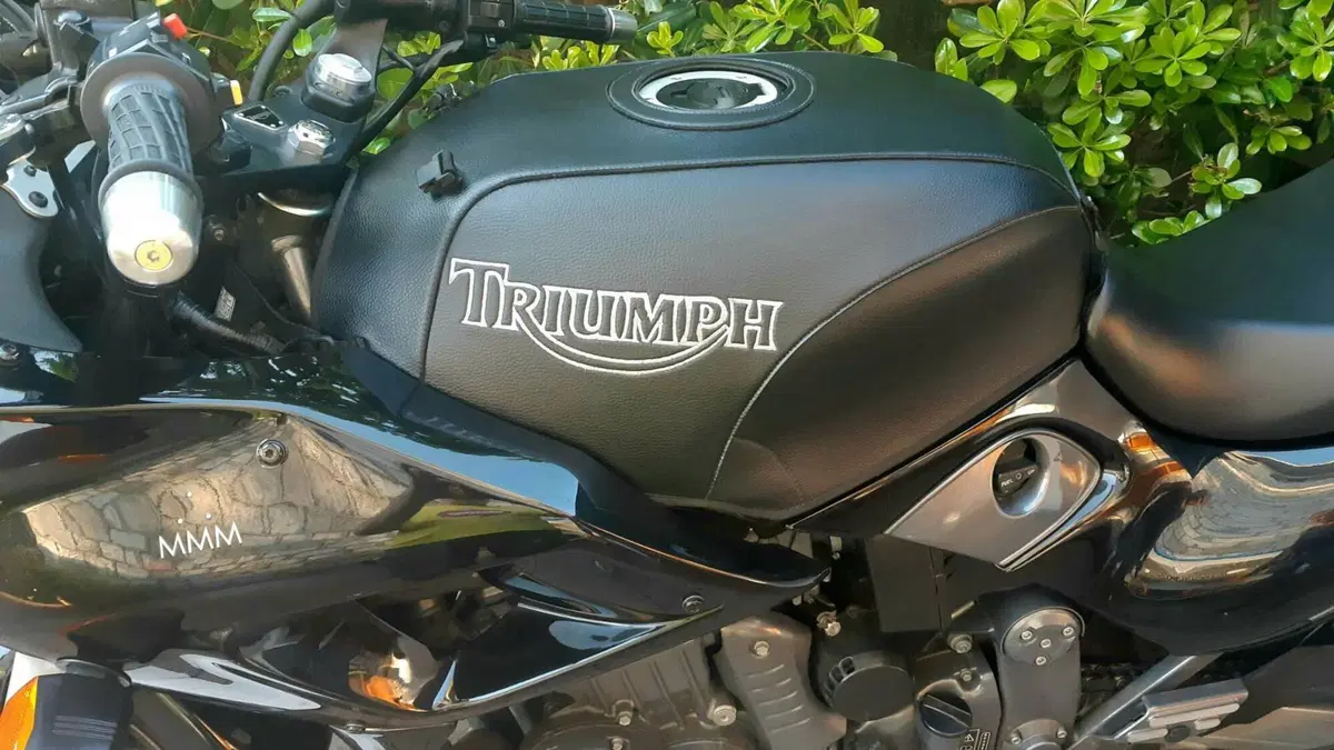 Triumph   (3)