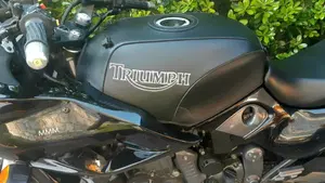 Triumph   (3)
