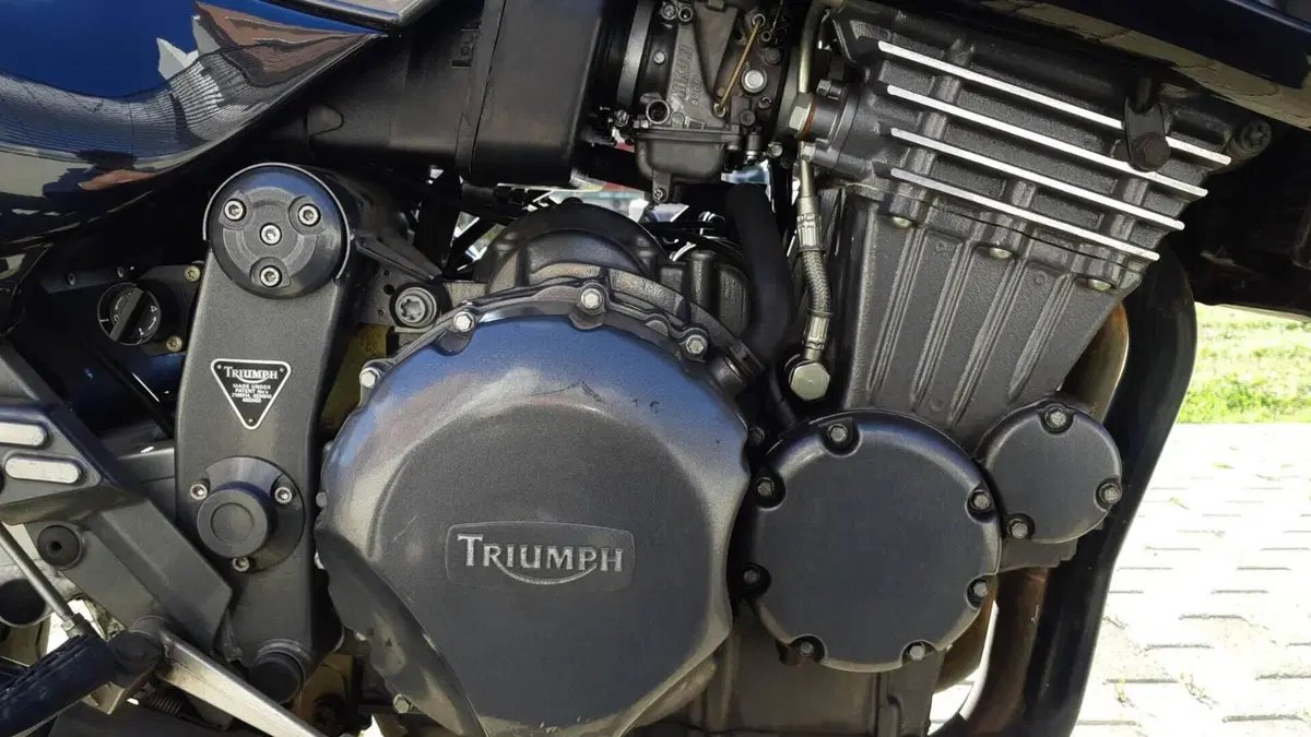 Triumph   (4)