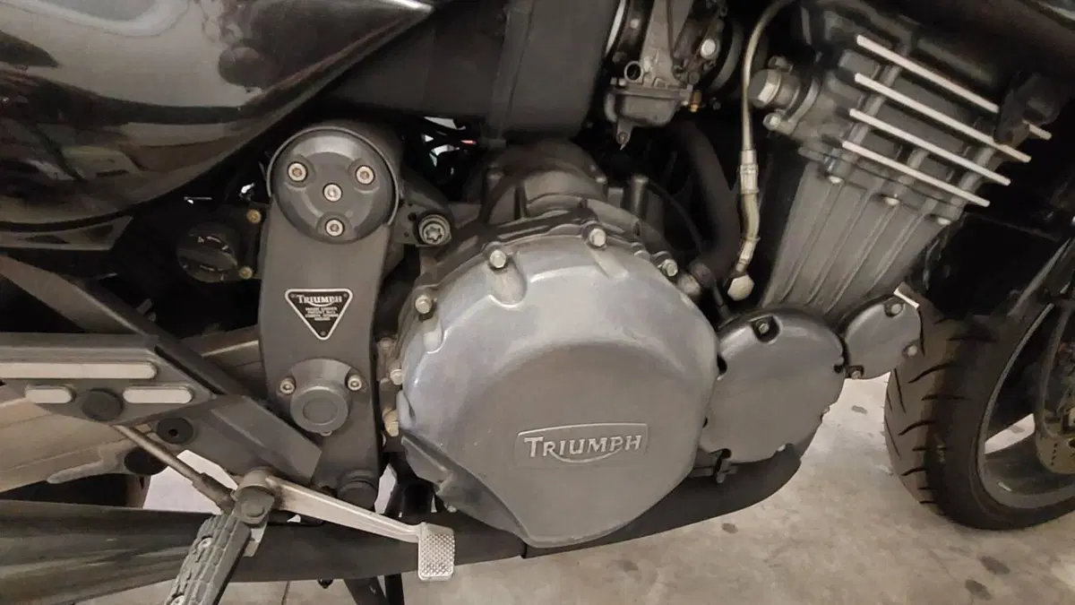 Triumph   (7)