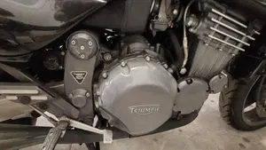 Triumph   (7)