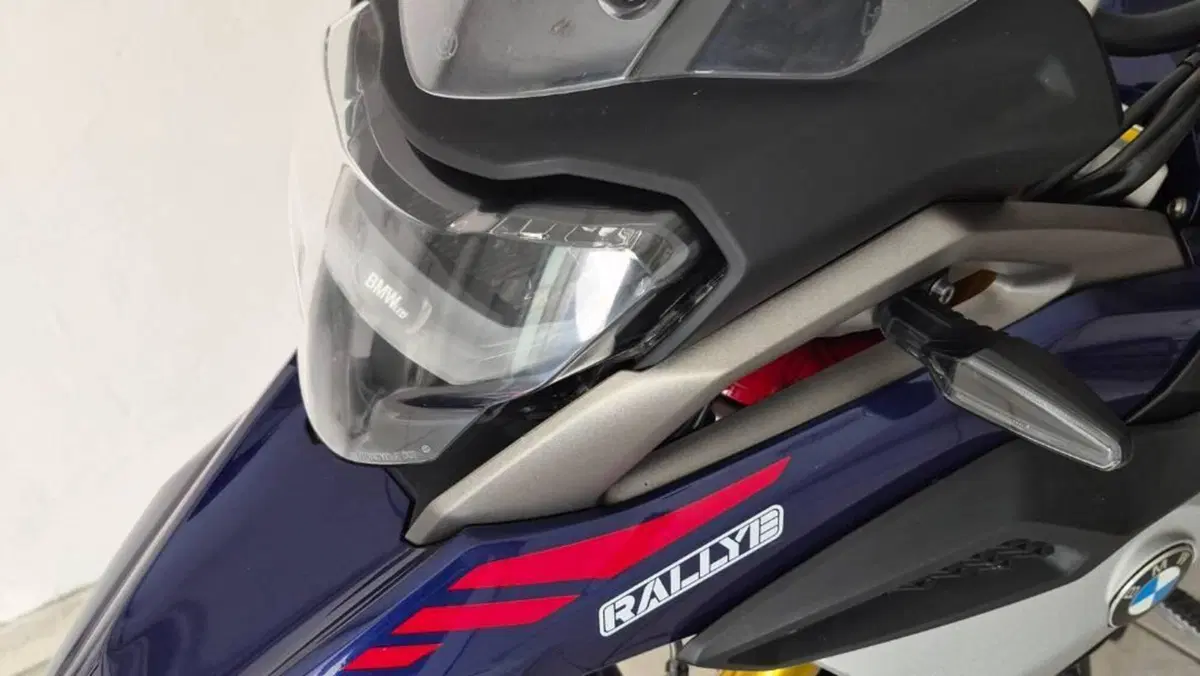 Bmw G 310 GS (2021 - 25)  (6)