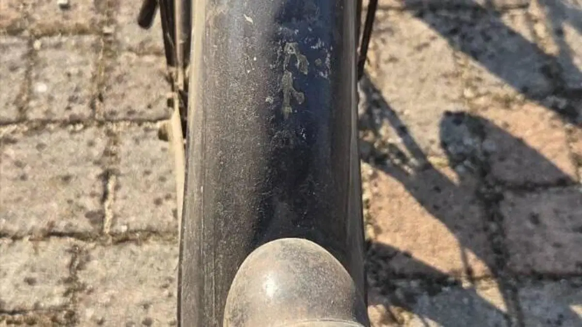 Bianchi   (2)