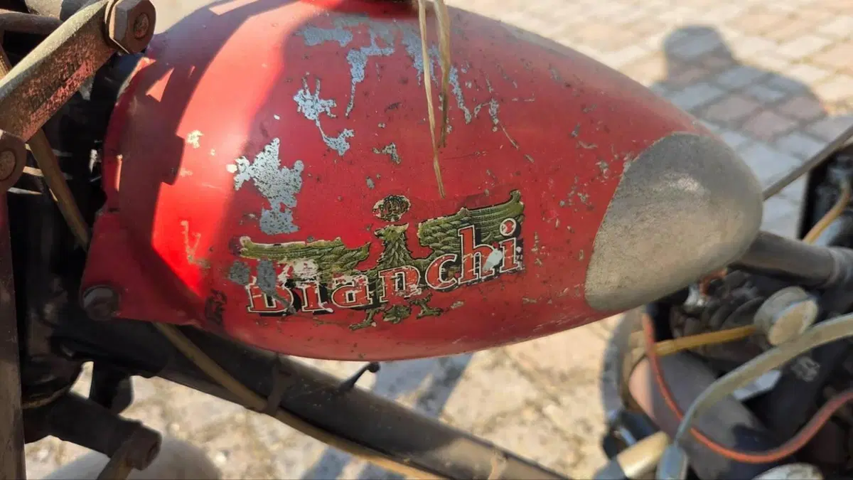 Bianchi   (3)