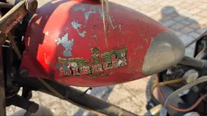 Bianchi   (3)
