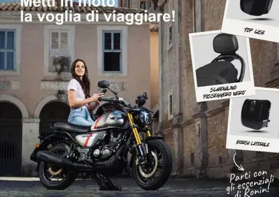 TVS Motor Ronin 250 (2024 - 26) - Annuncio 9932451