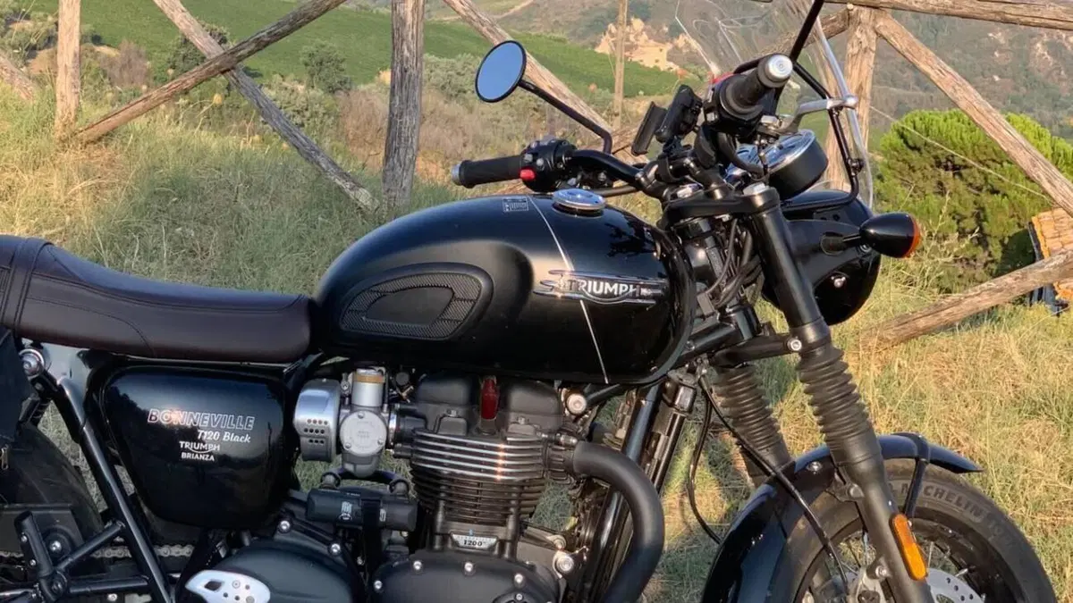 Triumph Bonneville T120 Black (2021 - 25)  (3)