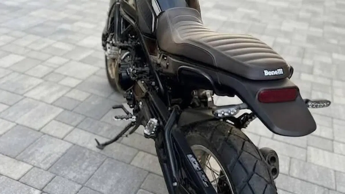Benelli Leoncino 500 (2021 - 25)  (2)