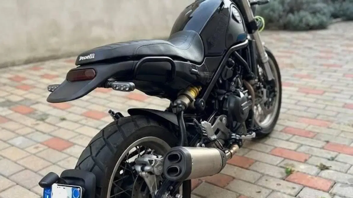 Benelli Leoncino 500 (2021 - 25)  (3)