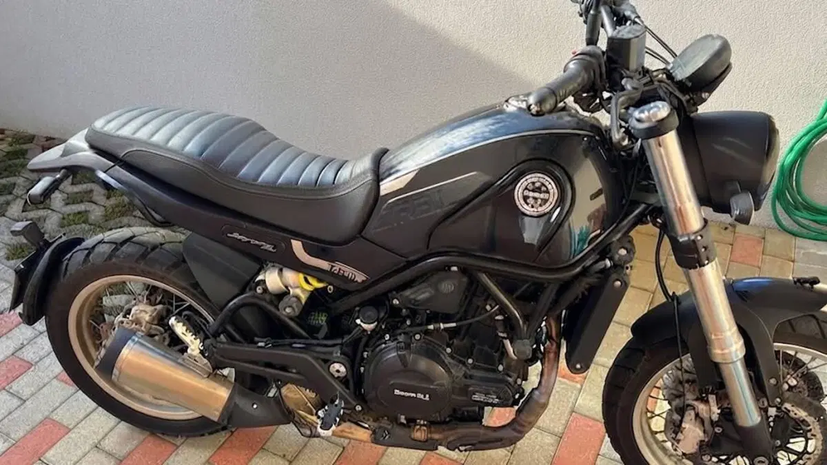 Benelli Leoncino 500 (2021 - 25)  (4)