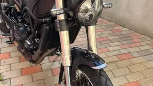Benelli Leoncino 500 (2021 - 25)  (5)