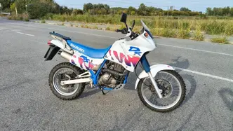 Suzuki DR 650 RSE (1991 - 97)