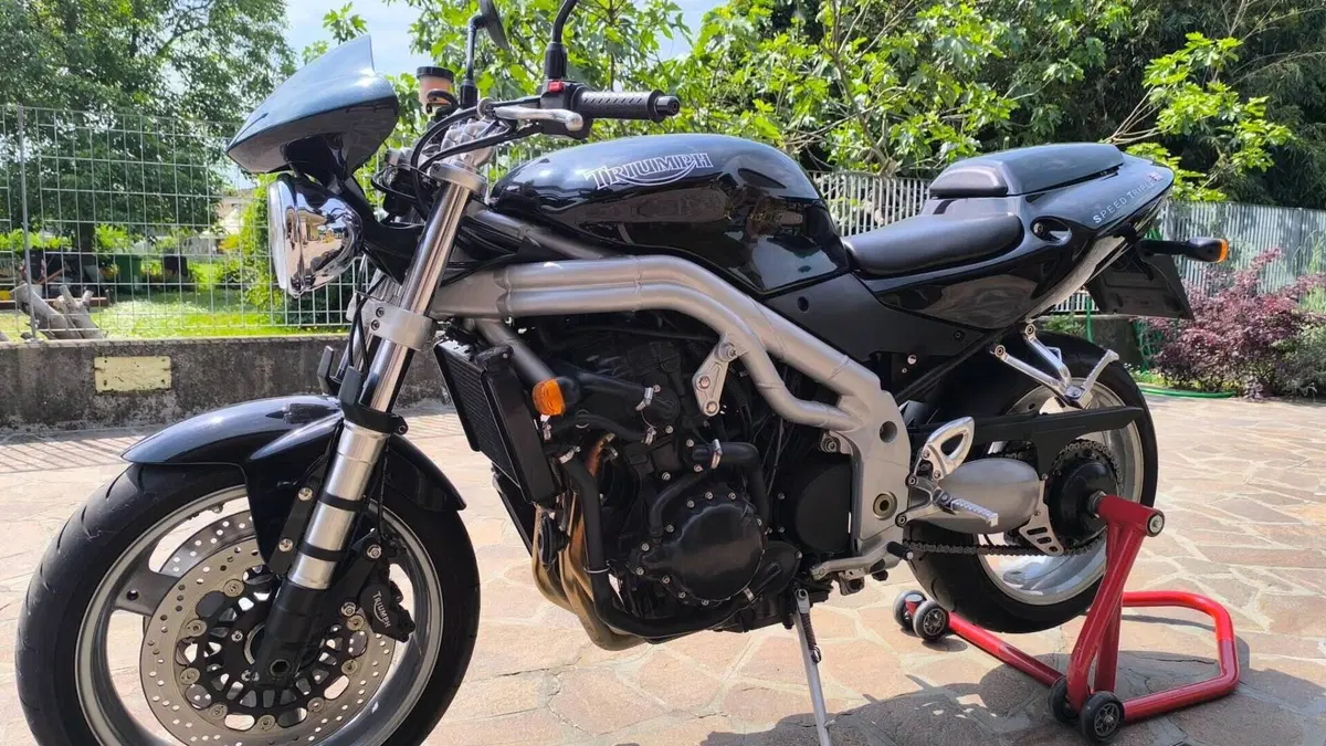 Triumph Speed Triple 955 (2002 - 04)  (2)