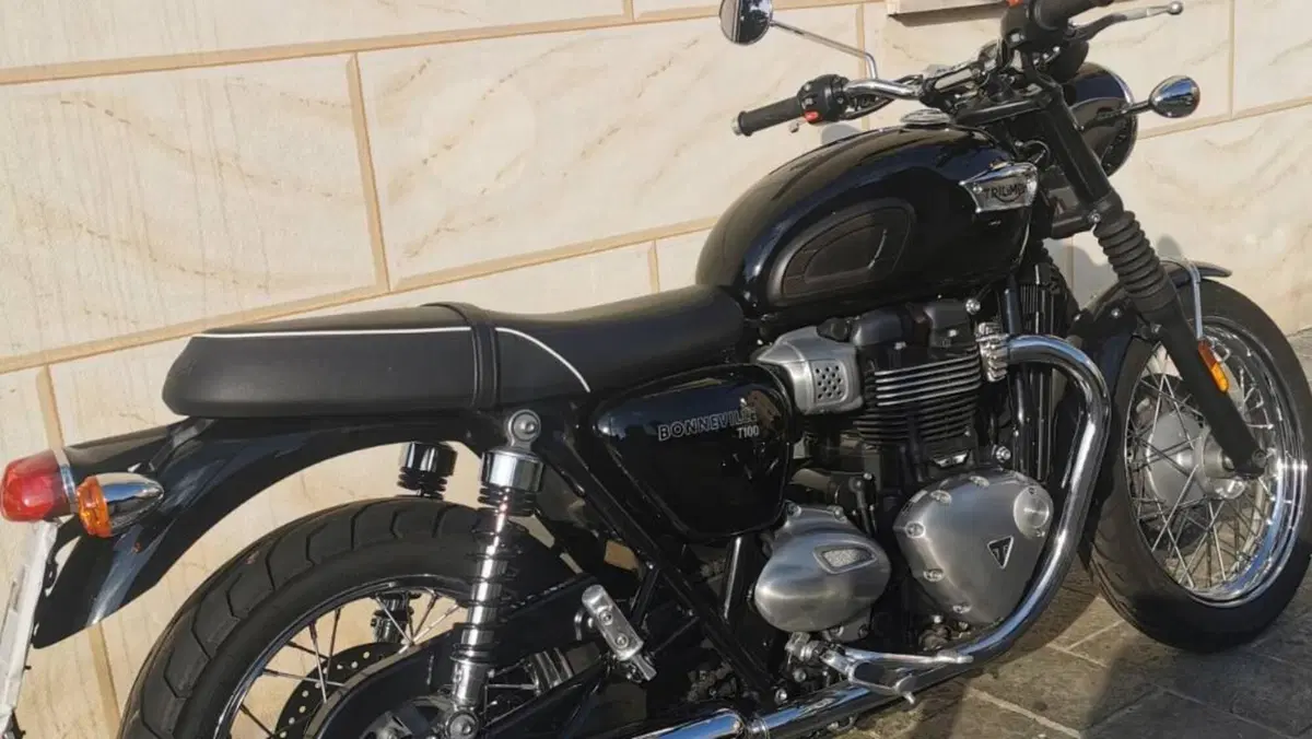Triumph Bonneville T100 Black (2017 - 20)  (3)