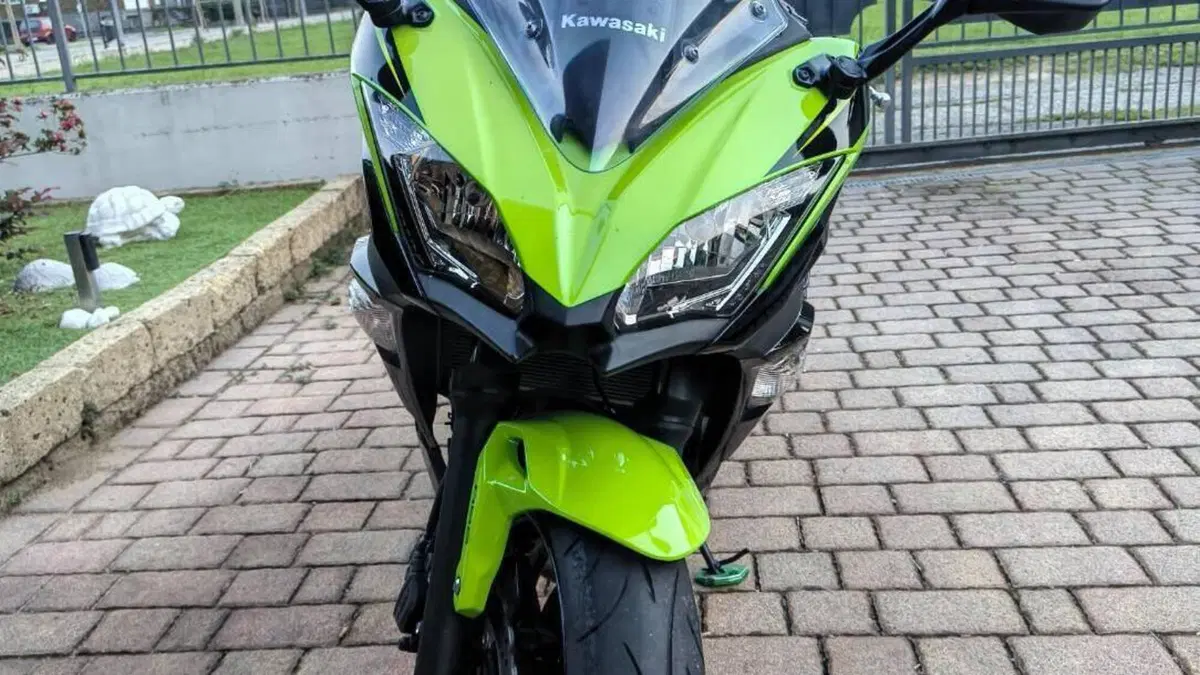 Kawasaki Ninja 650 (2017 - 19)  (4)