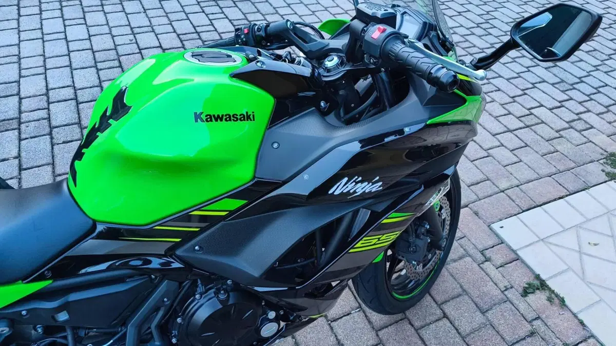 Kawasaki Ninja 650 (2017 - 19)  (7)