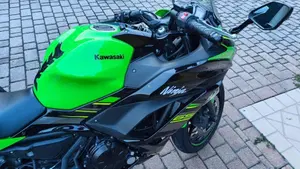 Kawasaki Ninja 650 (2017 - 19)  (7)