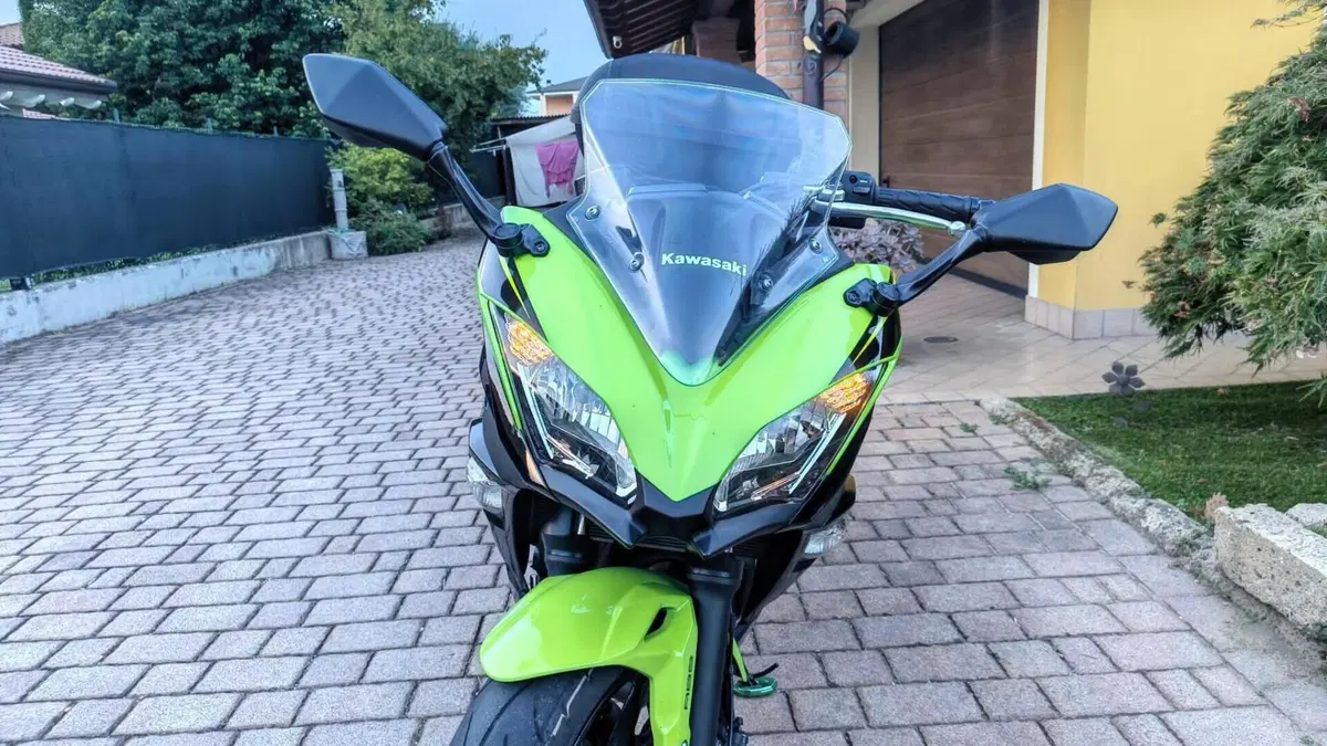 Kawasaki Ninja 650 (2017 - 19)  (10)