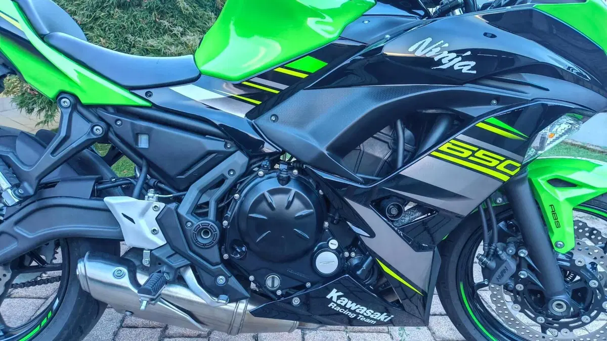 Kawasaki Ninja 650 (2017 - 19)  (14)