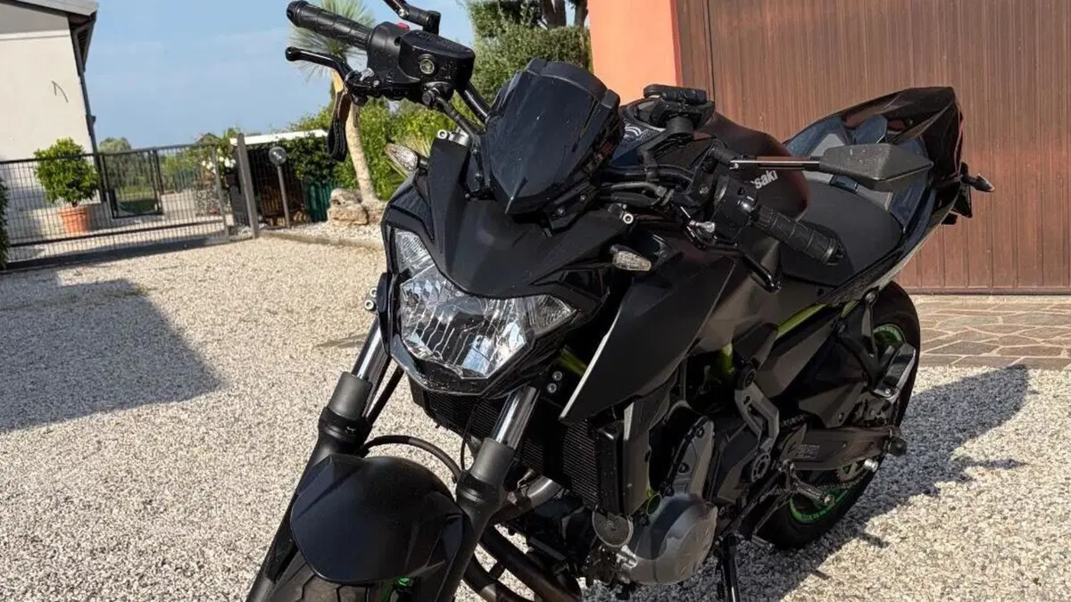 Kawasaki Z 650 Performance (2019 - 20) 