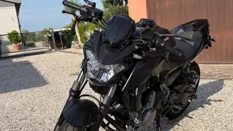 Kawasaki Z 650 Performance (2019 - 20)