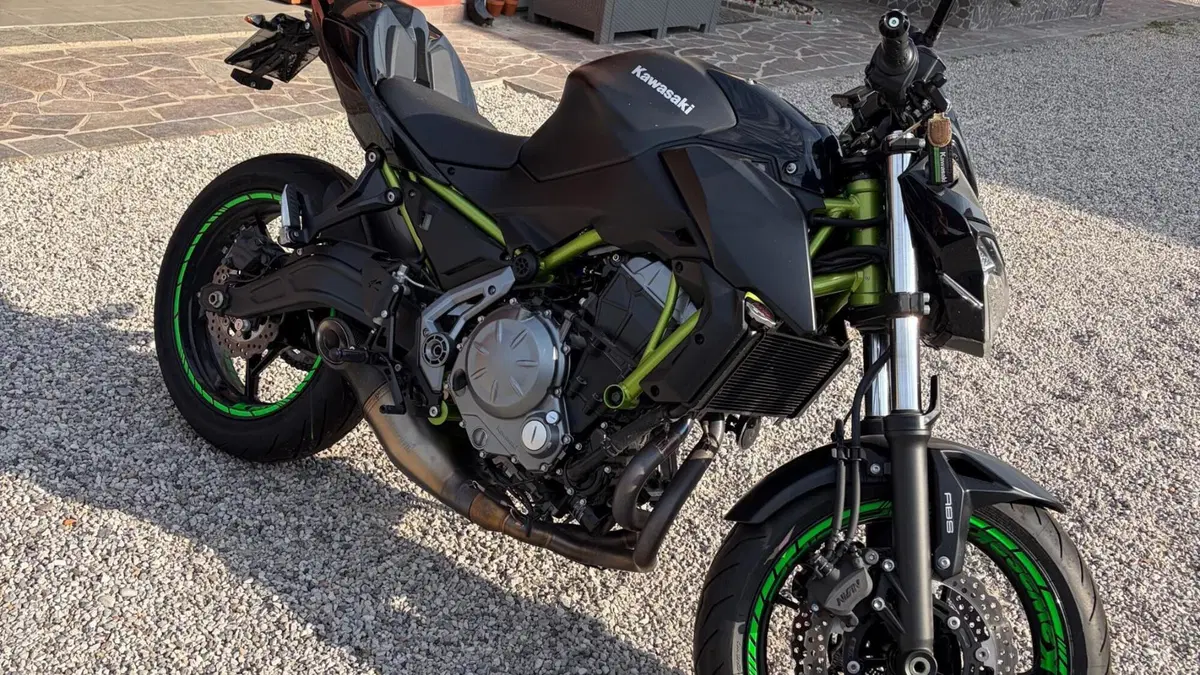 Kawasaki Z 650 Performance (2019 - 20)  (2)