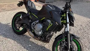 Kawasaki Z 650 Performance (2019 - 20)  (2)