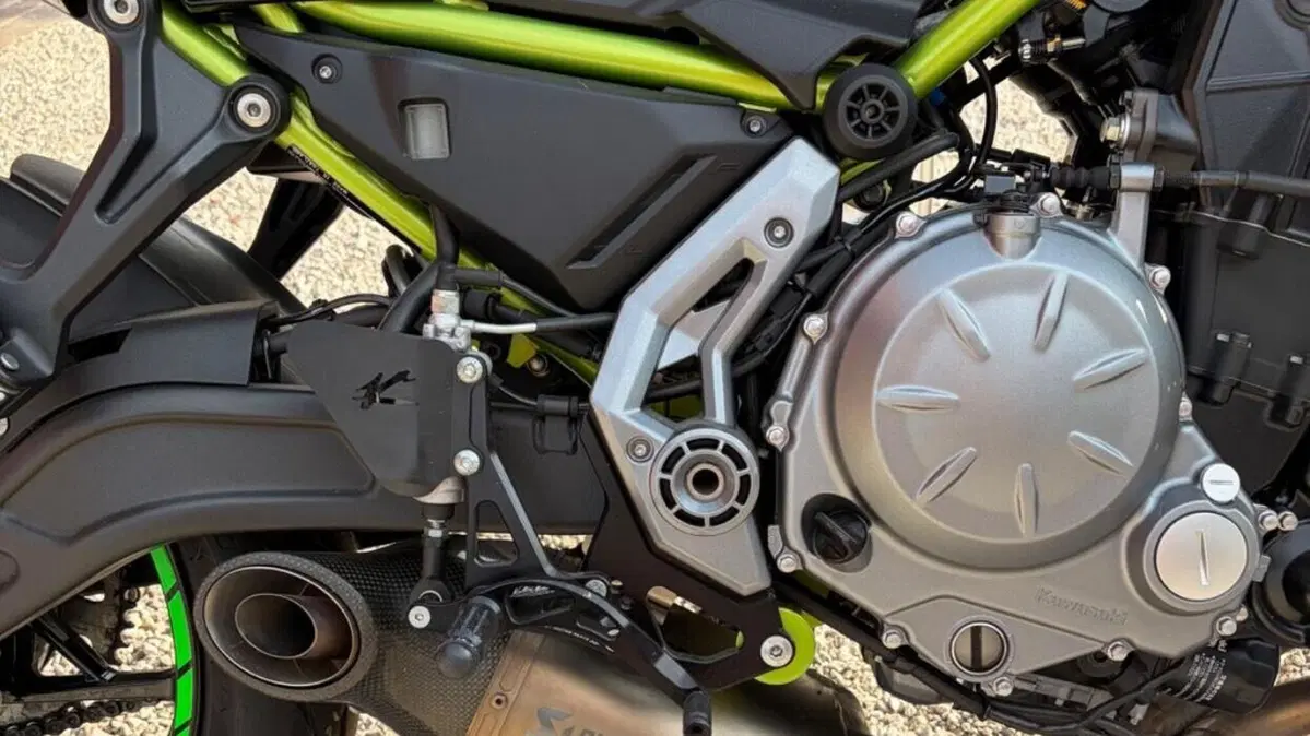 Kawasaki Z 650 Performance (2019 - 20)  (3)