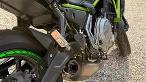 Kawasaki Z 650 Performance (2019 - 20)  (4)