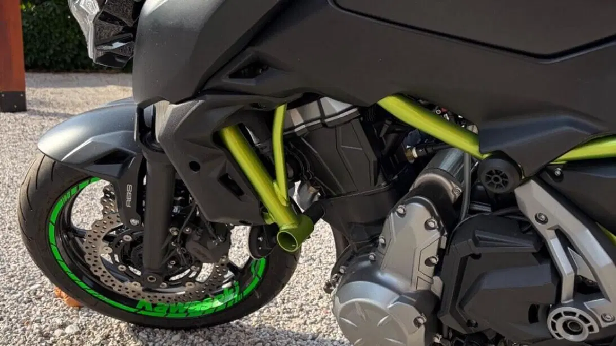 Kawasaki Z 650 Performance (2019 - 20)  (5)