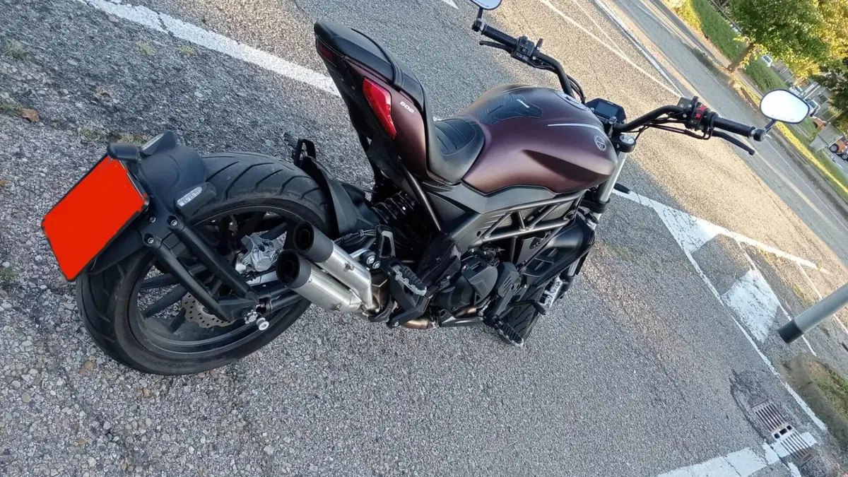 Benelli 502 C (2021 - 25)  (5)